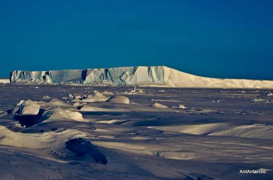 antarctic sea ice