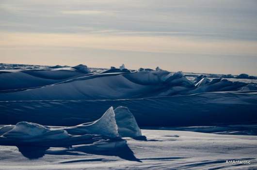 antarctic sea ice and ice shelf