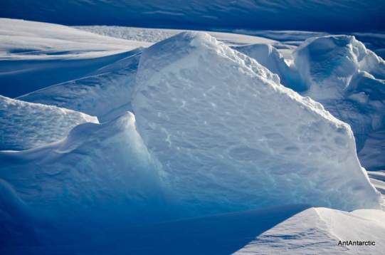 antarctic sea ice and ice shelf